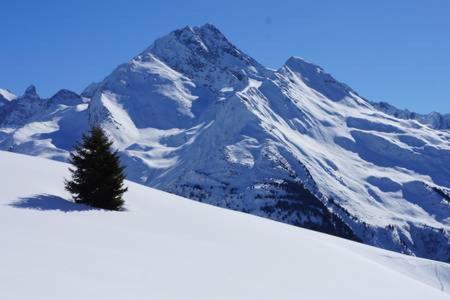 Le Studio D'Emma Διαμέρισμα La Plagne Εξωτερικό φωτογραφία